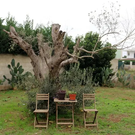 Bed & Breakfast Casa Matheo *